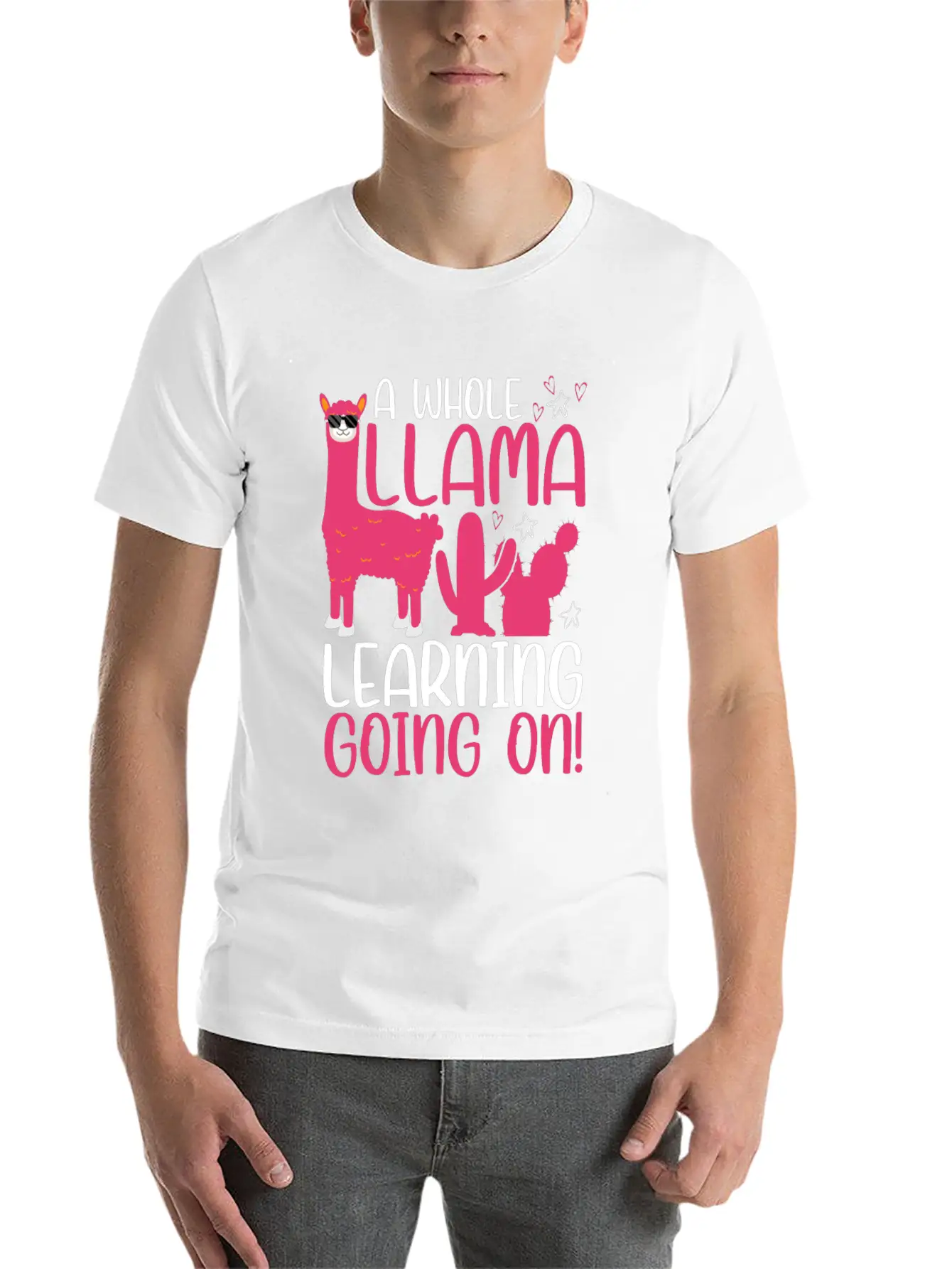 A Whole Llama Learning Going On Kindergarten Teach Basic Graphic T-Shirt ¨C Daily Comfort In Soft Cotton