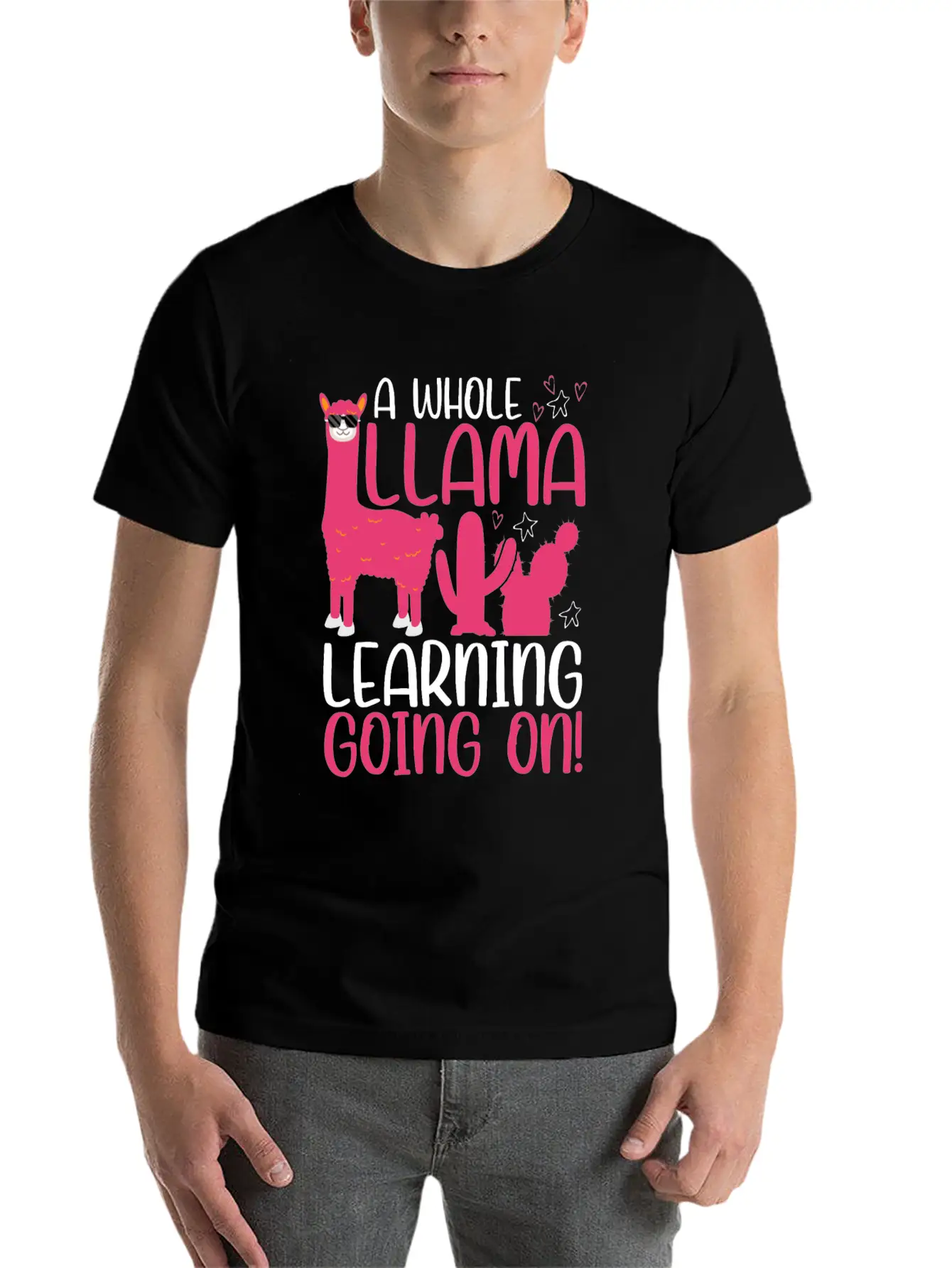 A Whole Llama Learning Going On Kindergarten Teach Basic Graphic T-Shirt ¨C Daily Comfort In Soft Cotton