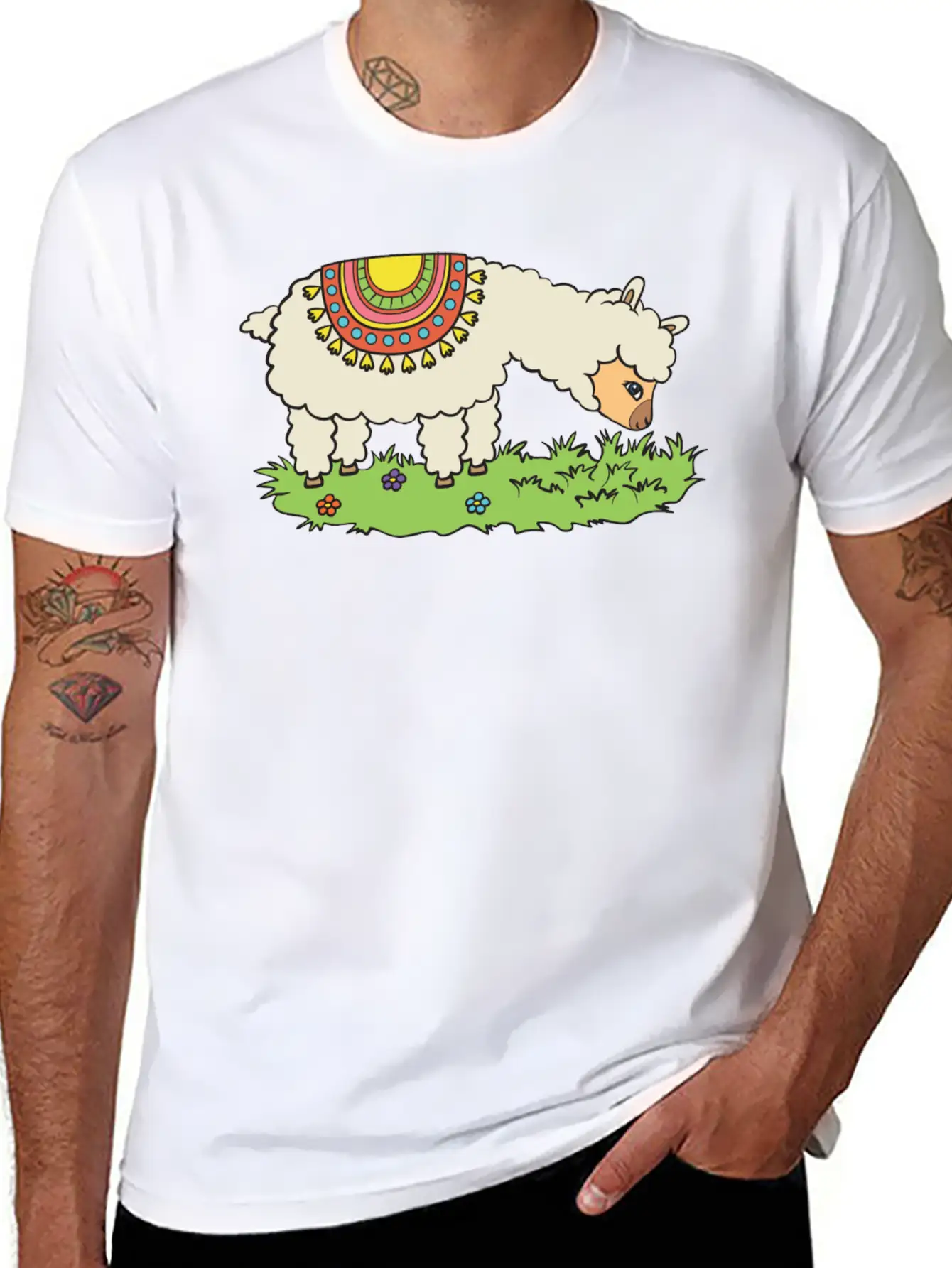 Alpaca Eats Grass On A Meadow Basic Graphic T-Shirt ¨C Daily Comfort In Soft Cotton