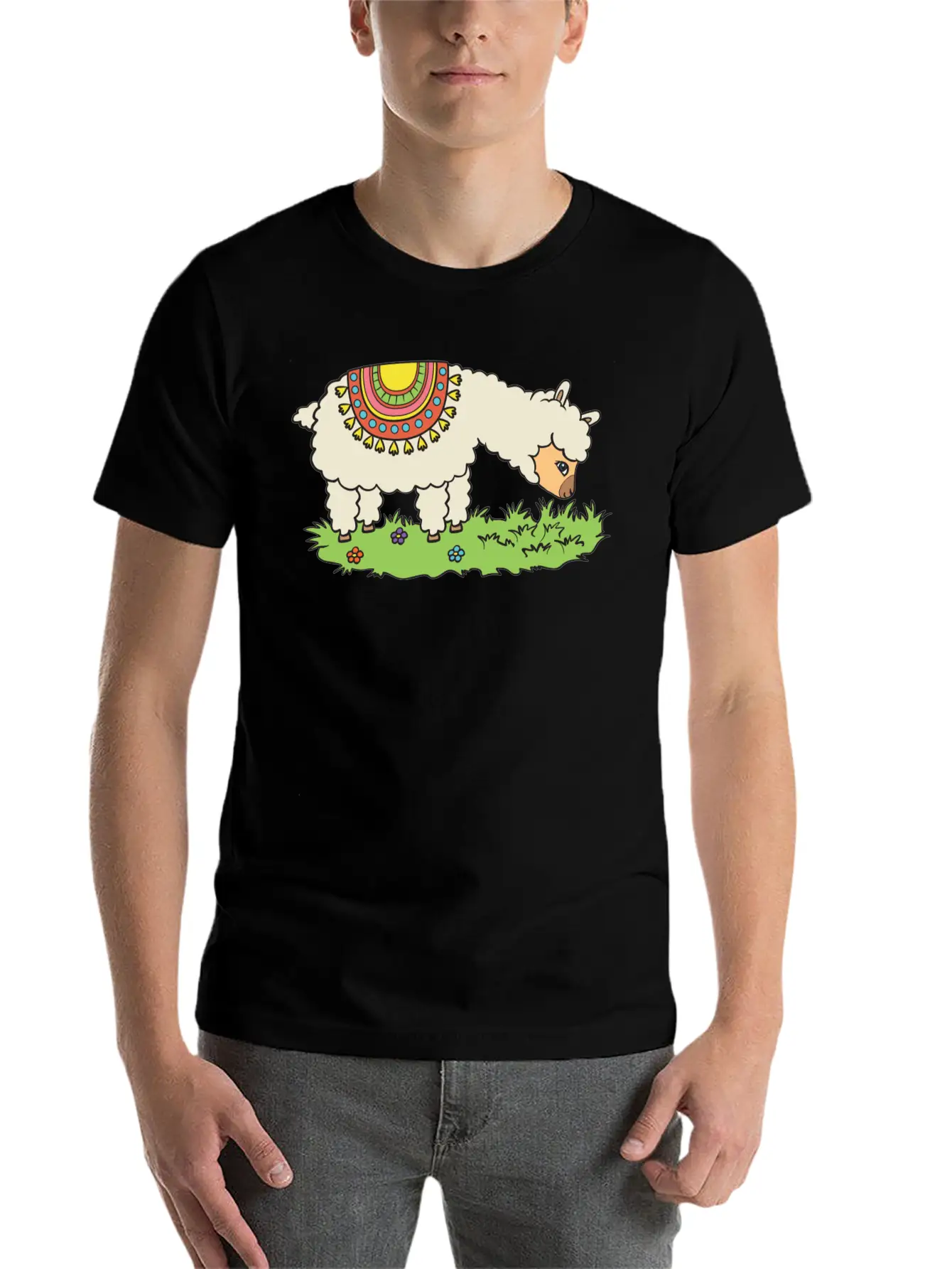 Alpaca Eats Grass On A Meadow Basic Graphic T-Shirt ¨C Daily Comfort In Soft Cotton