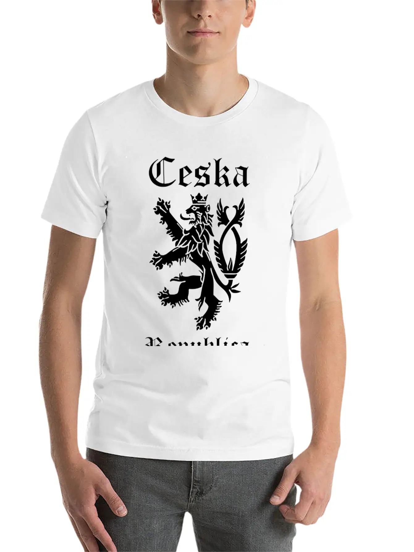 CESKA Czech Republic Lion Rampant Basic Graphic T-Shirt ¨C Daily Comfort In Soft Cotton
