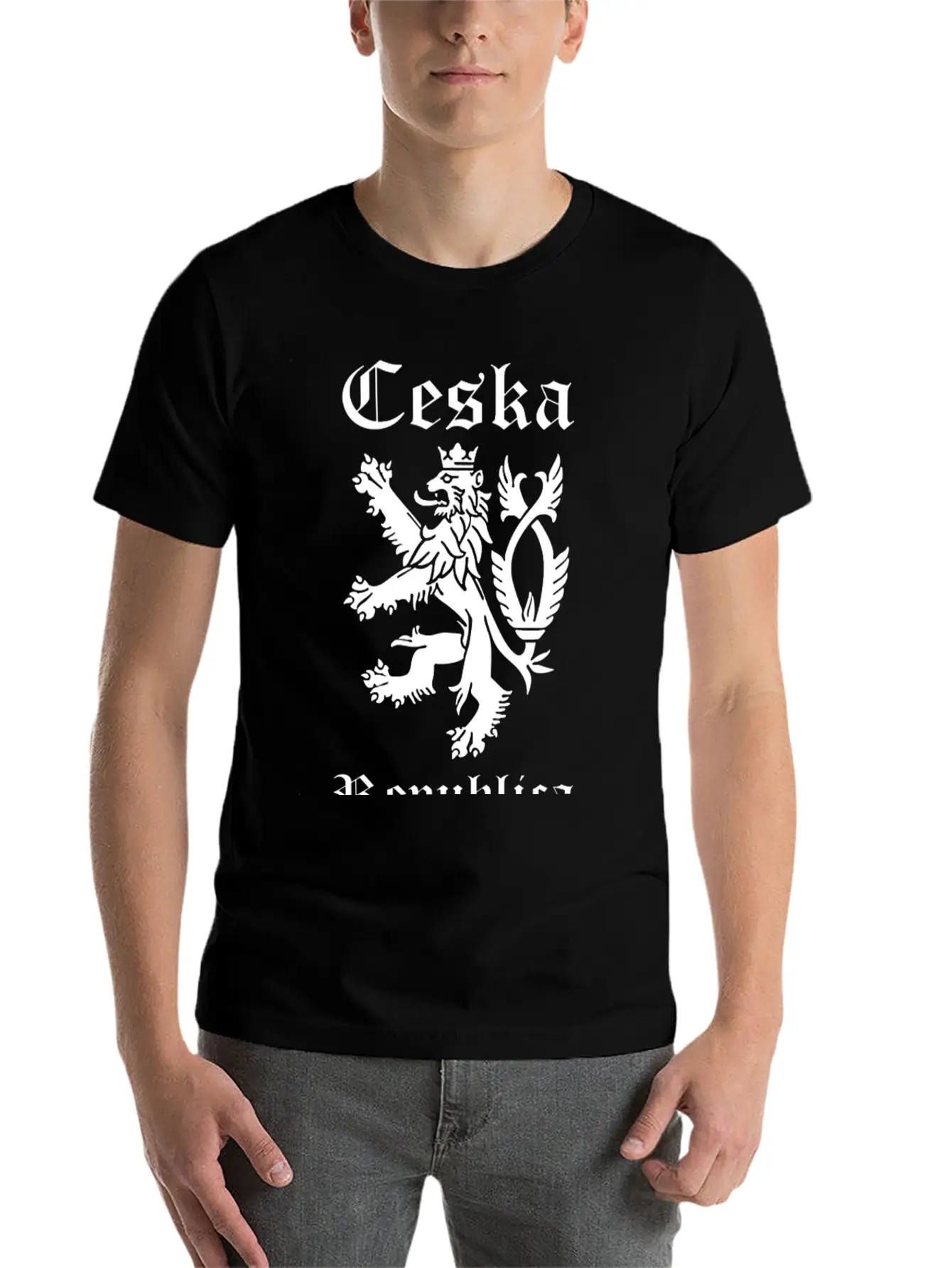 CESKA Czech Republic Lion Rampant Basic Graphic T-Shirt ¨C Daily Comfort In Soft Cotton