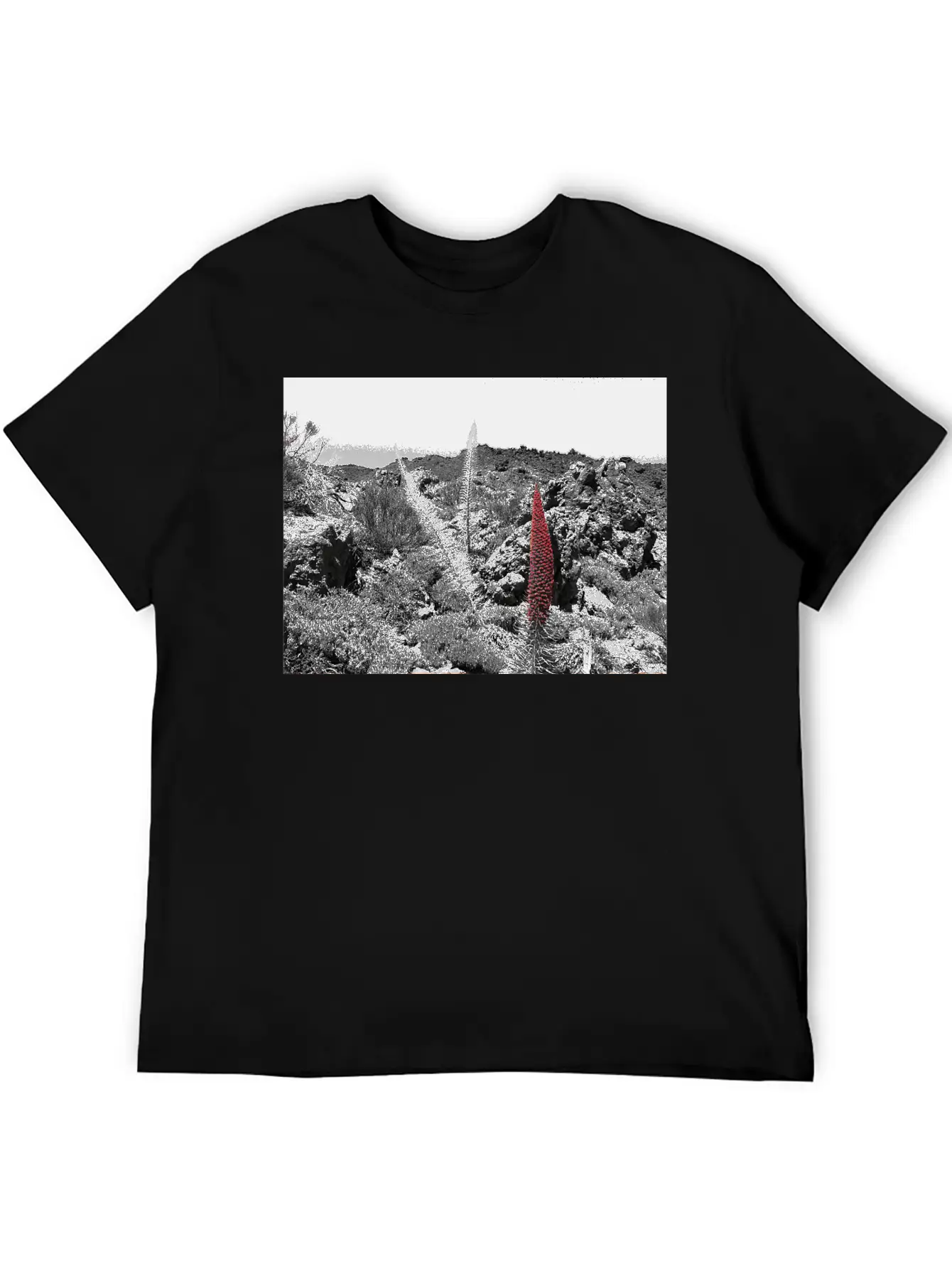 Tajinaste Unisex Casual T-Shirt ¨C Clean Design For Daily Comfort