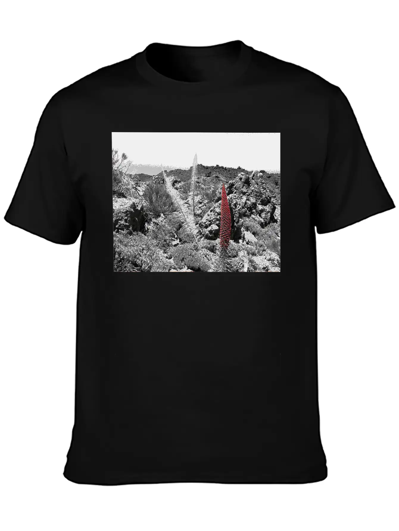 Tajinaste Unisex Casual T-Shirt ¨C Clean Design For Daily Comfort