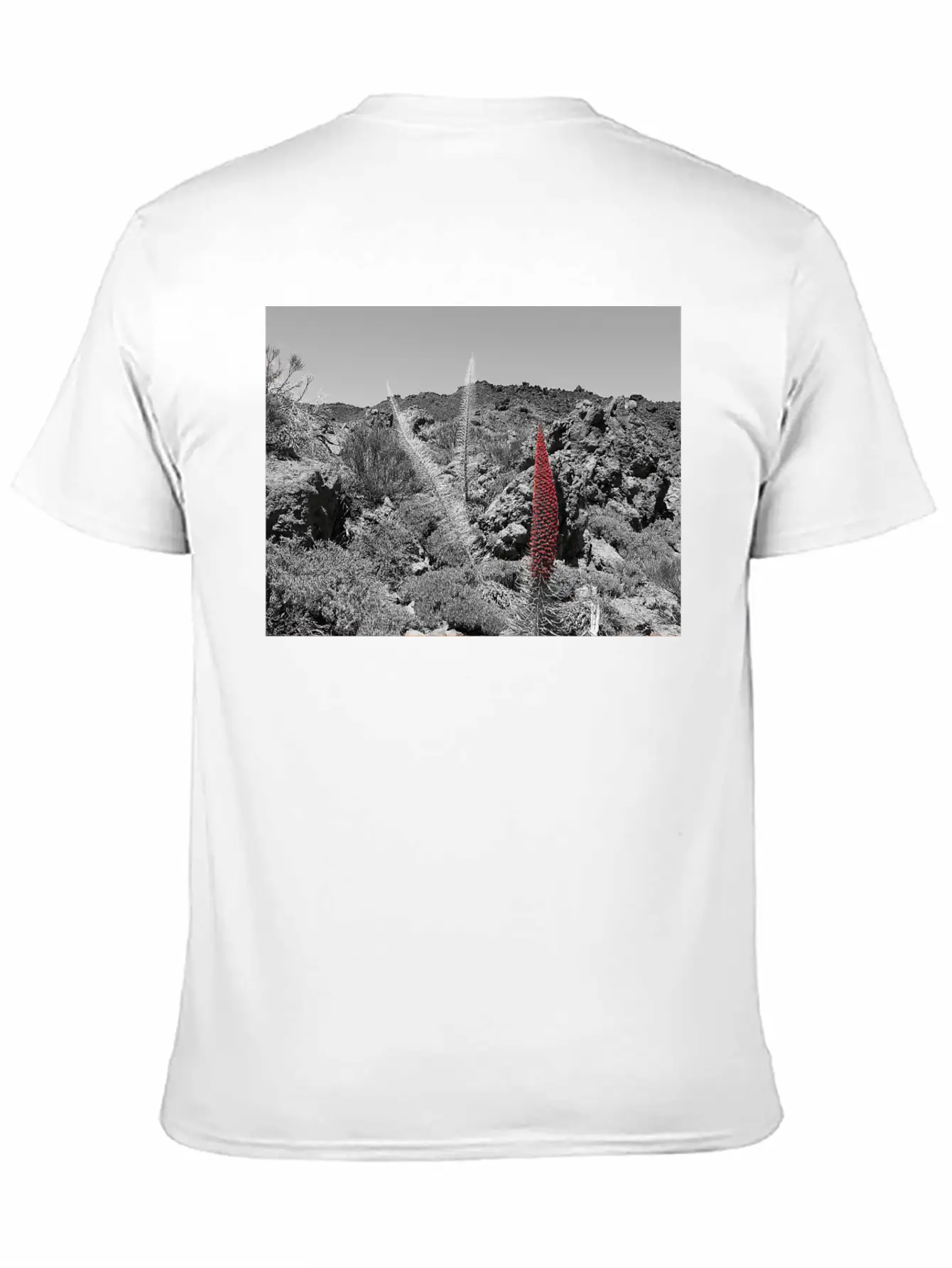 Tajinaste Unisex Casual T-Shirt ¨C Clean Design For Daily Comfort