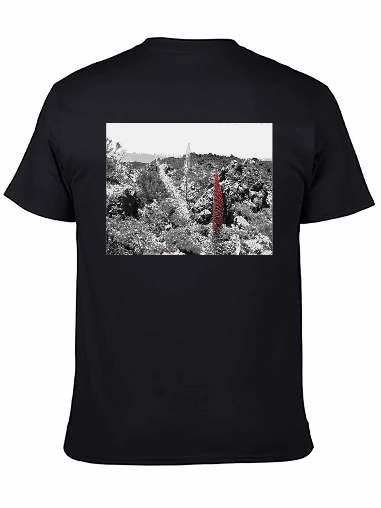 Tajinaste Unisex Casual T-Shirt ¨C Clean Design For Daily Comfort