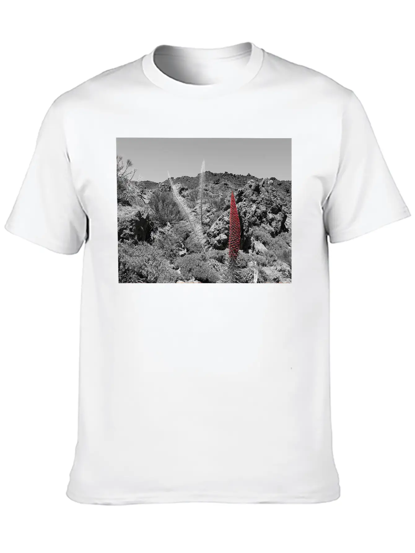 Tajinaste Unisex Casual T-Shirt ¨C Clean Design For Daily Comfort